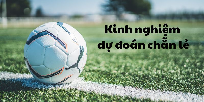 Bí quyết dự đoán chẵn lẻ từ dân chơi chuyên nghiệp
