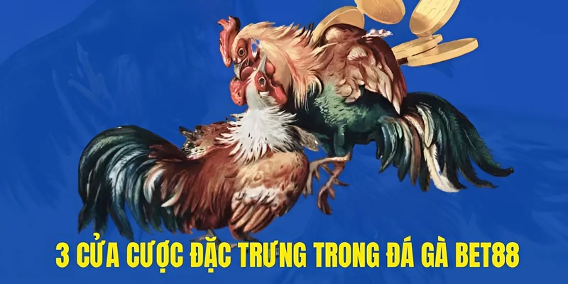 Đá gà BET88 cựa sắt thu hút người chơi